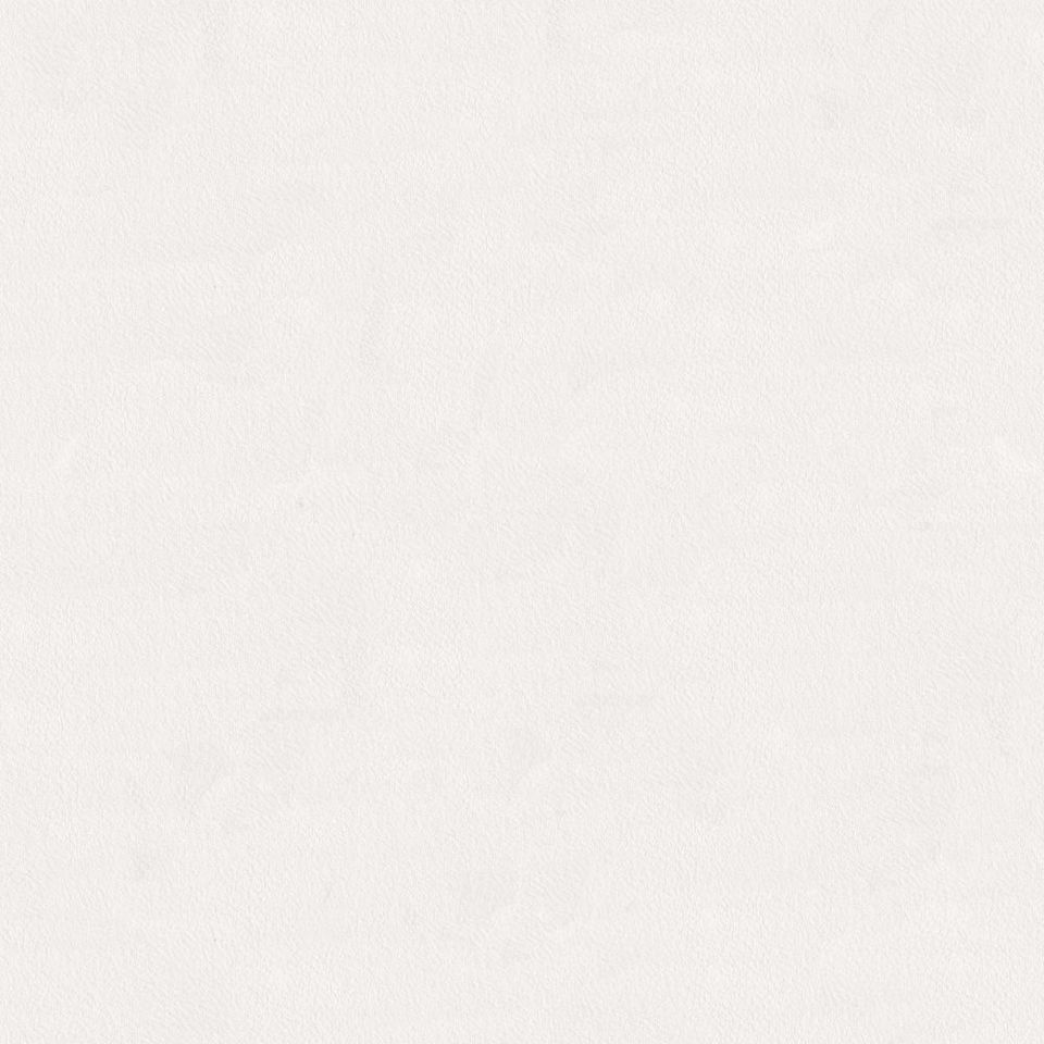 Like Leather - like-leather_001