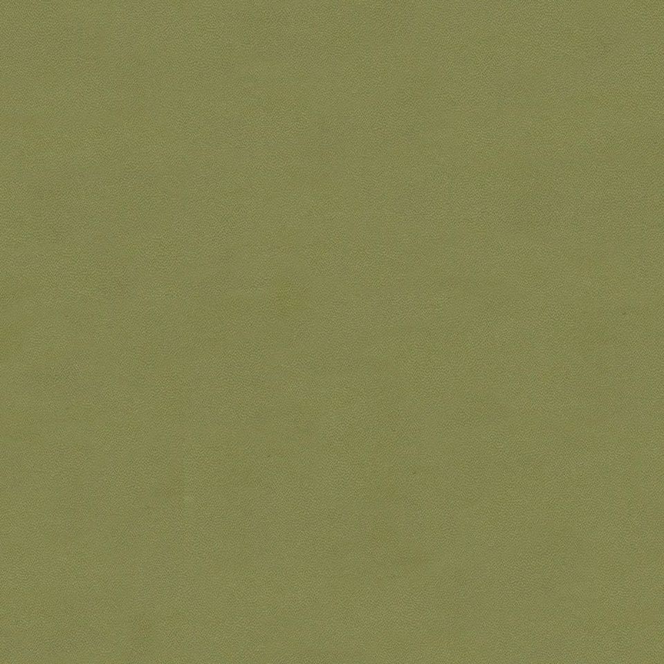 Fuji - fj_001