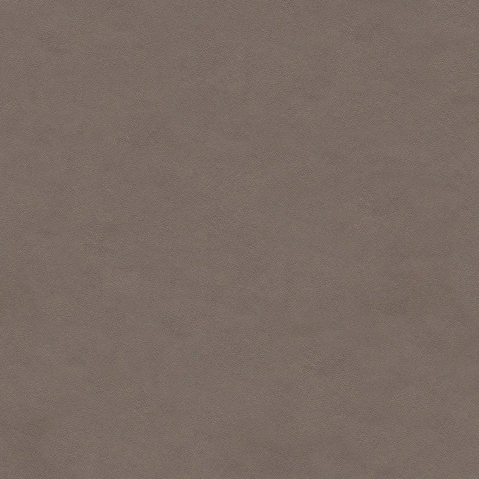 Fuji - fj_001