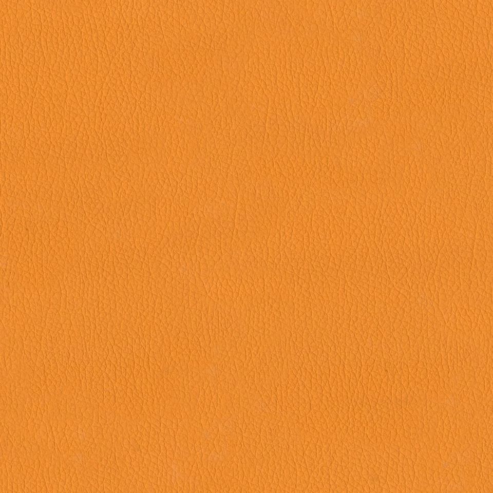 New King FR - Nw_001