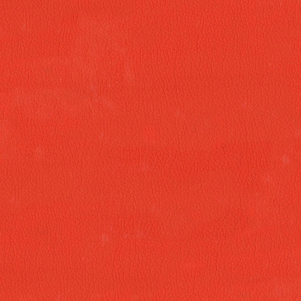 New King FR - Nw_001