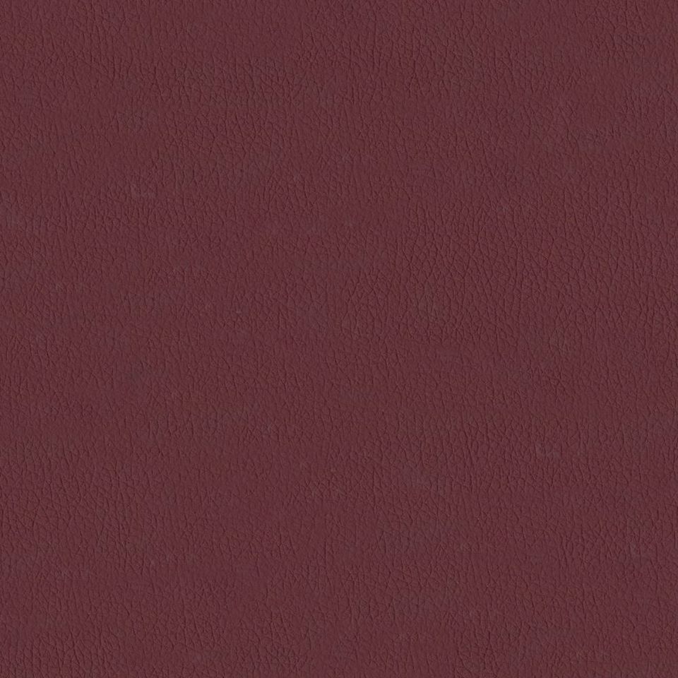 New King FR - Nw_001