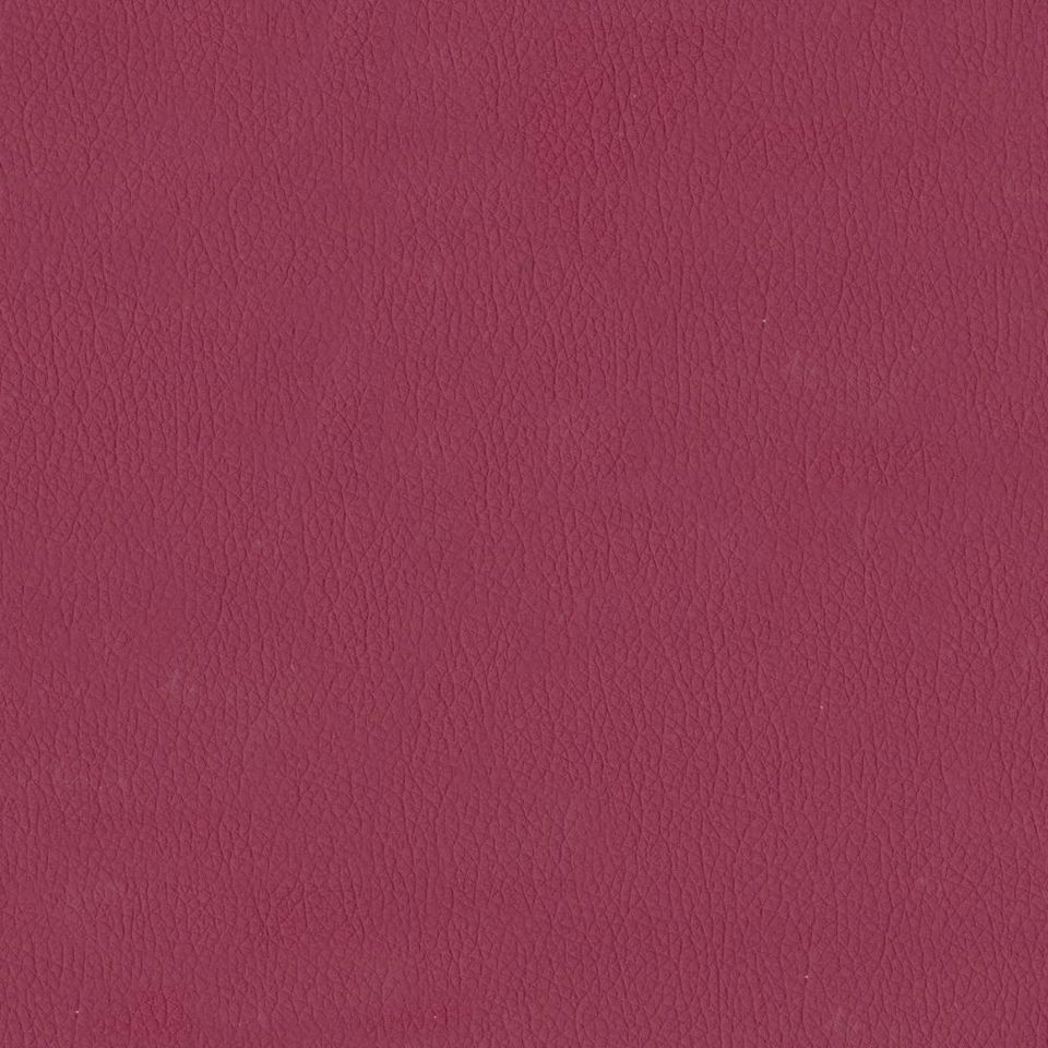 New King FR - Nw_001