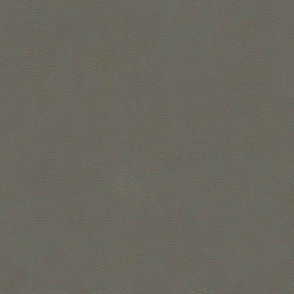 New King FR - Nw_001