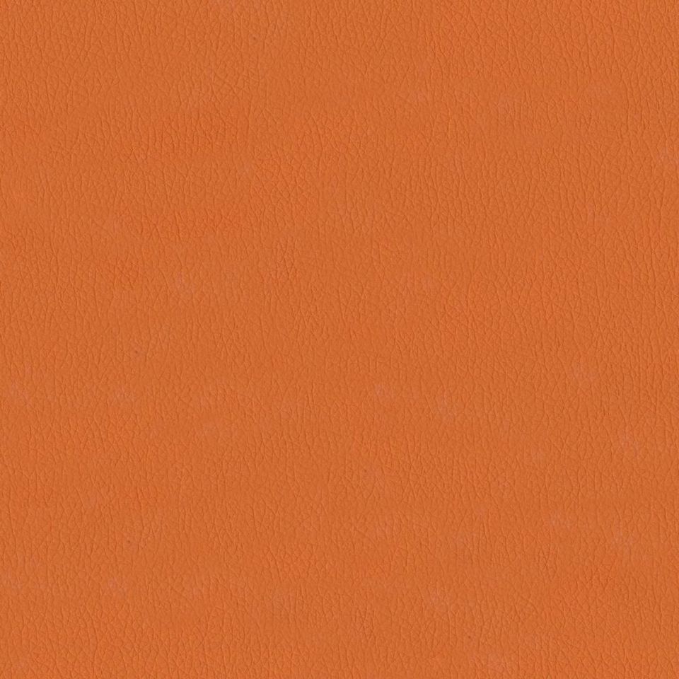 New King FR - Nw_001