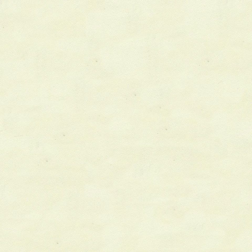 Fuji - fj_001