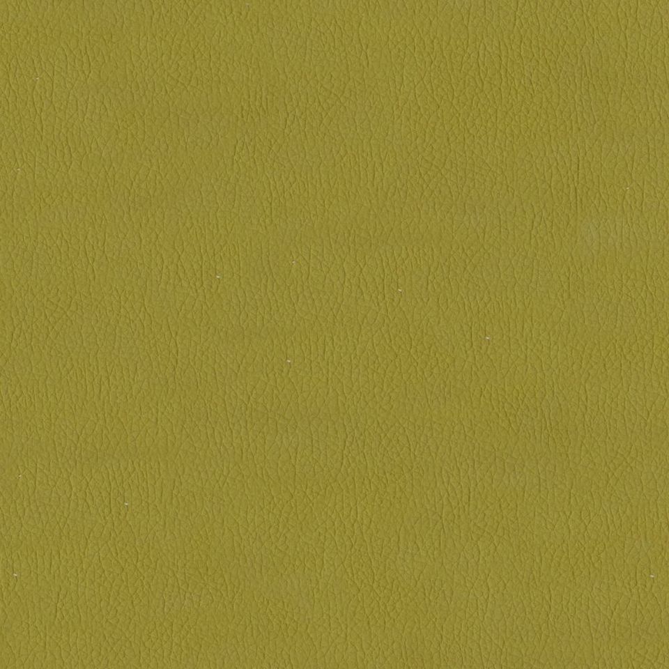 New King FR - Nw_001