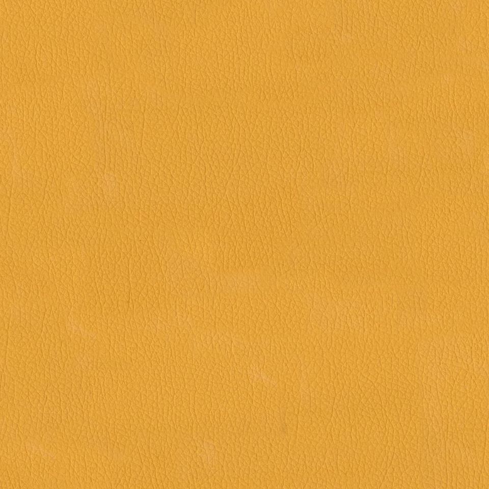 New King FR - Nw_001