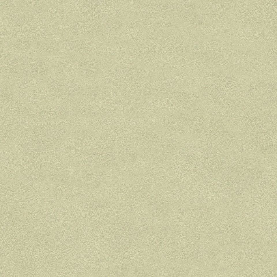 Fuji - fj_001