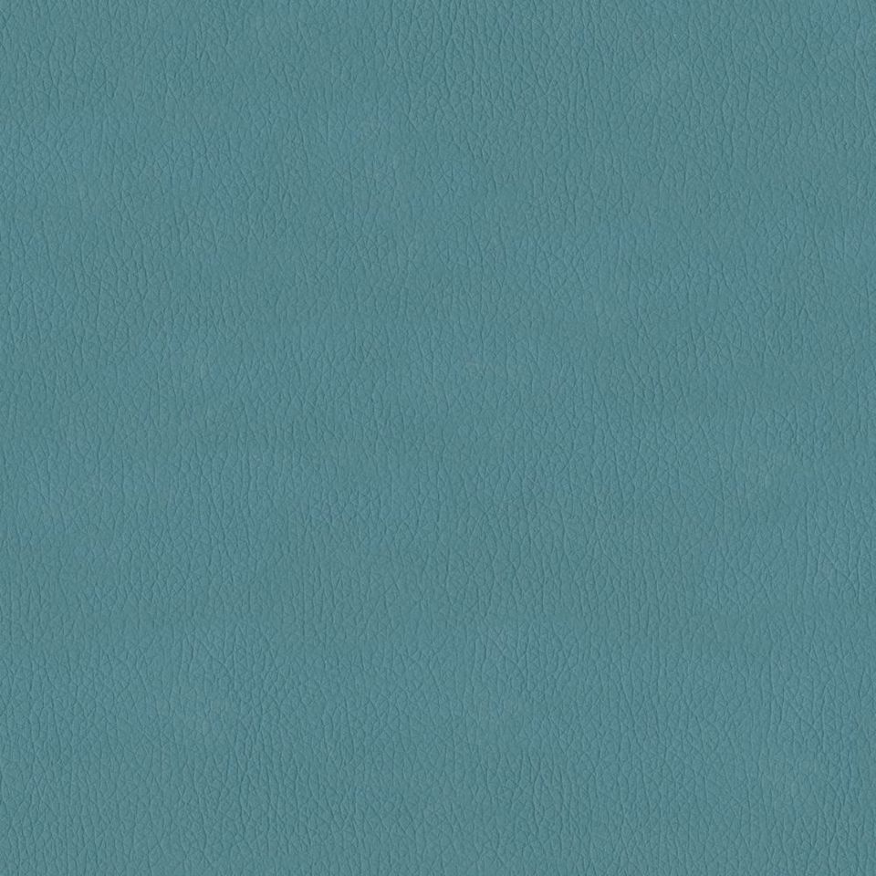 New King FR - Nw_001