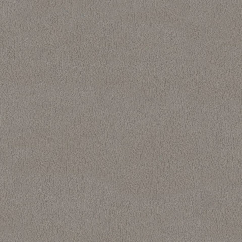 New King FR - Nw_001