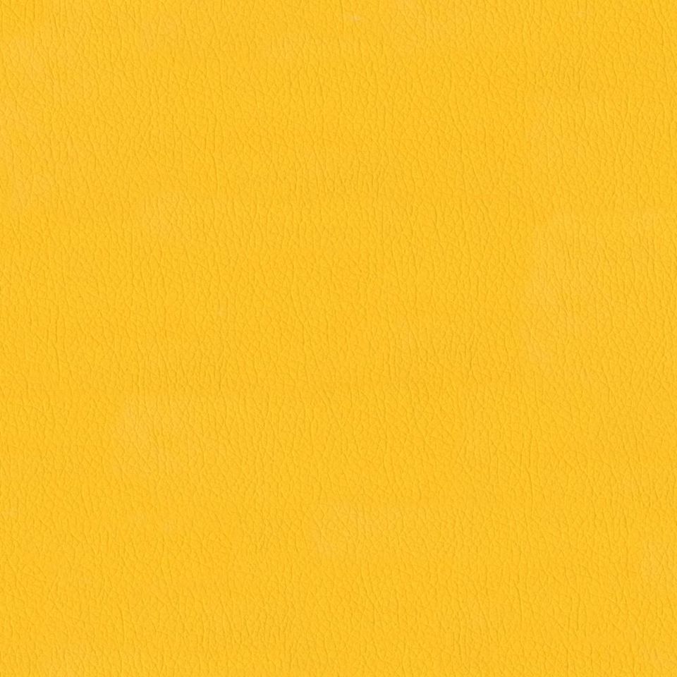 New King FR - Nw_001