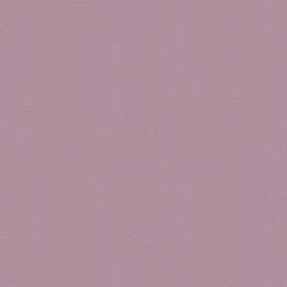 New King FR - Nw_001