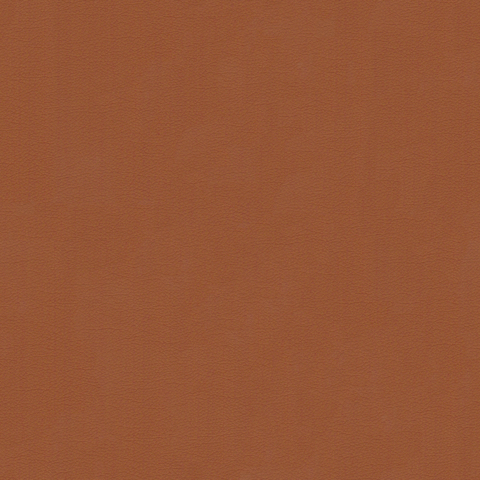 New King FR - Nw_001