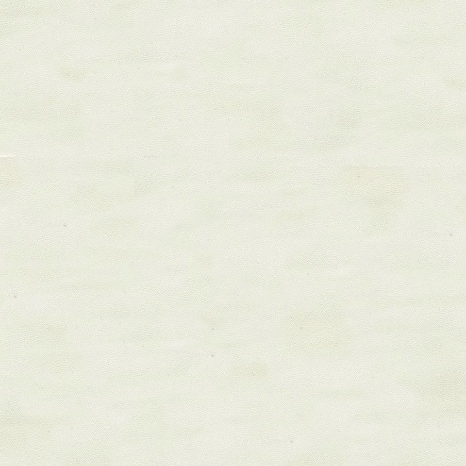 Fuji - fj_001