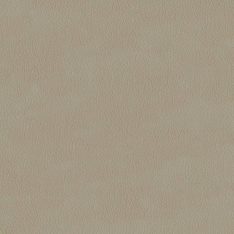 New King FR - Nw_001