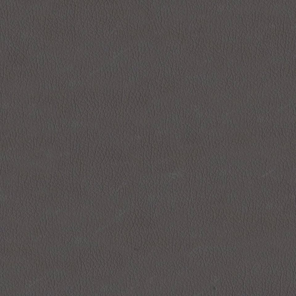 New King FR - Nw_001